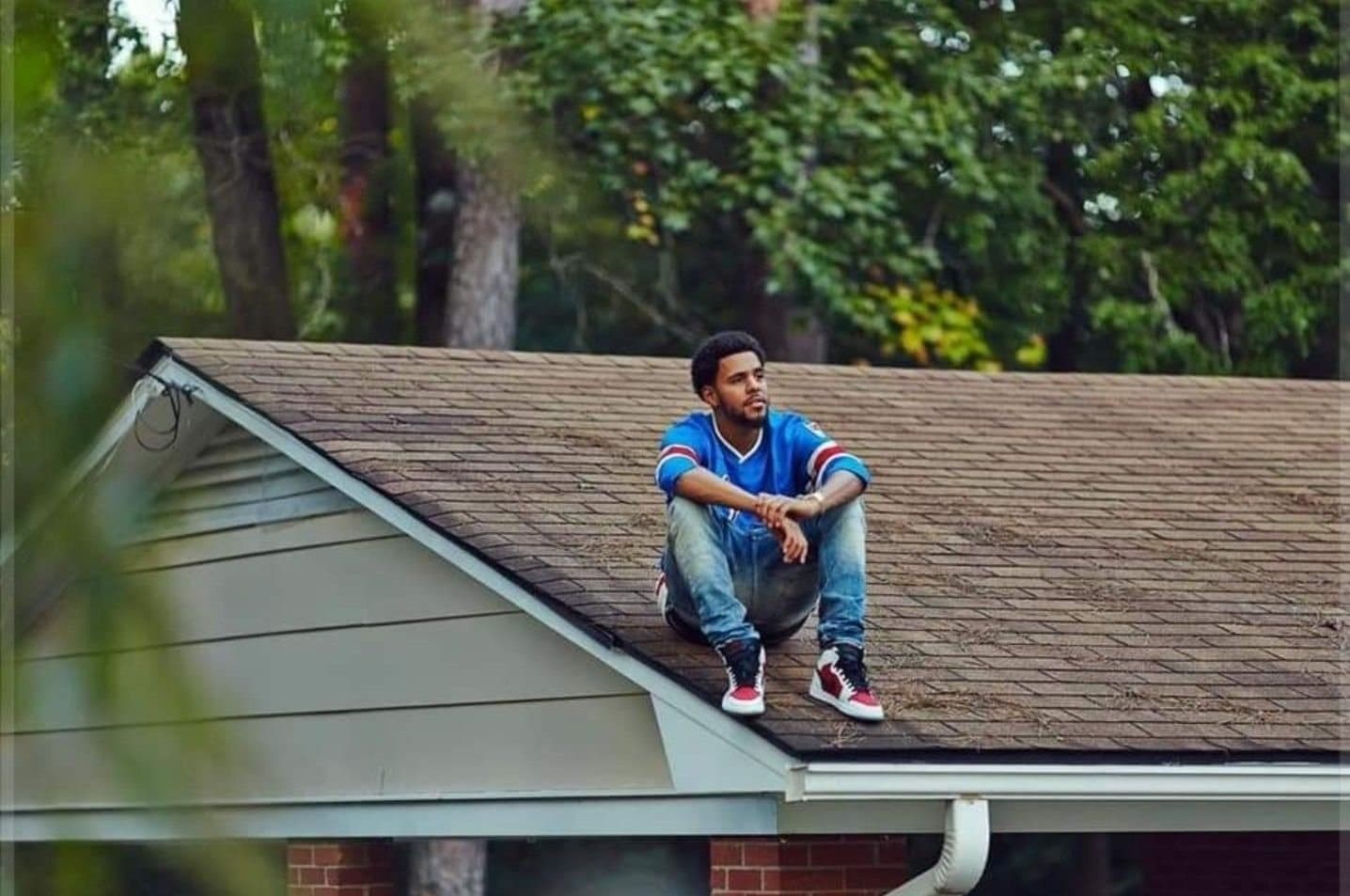 forest hills drive